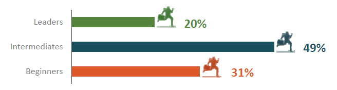 Percentage of Firms by Cybersecurity Stage