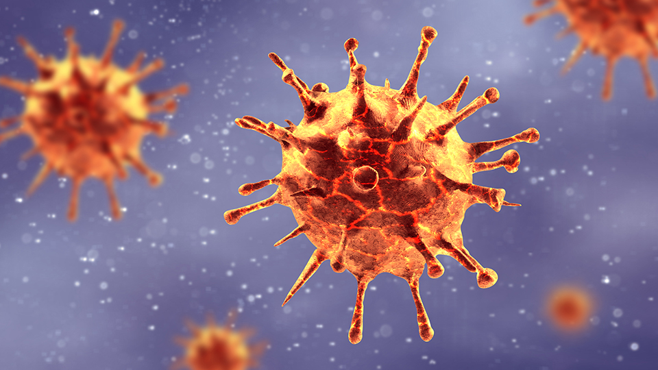 New coronavirus 2019-ncov. 3D medical illustration Microscopic view of influenza virus cells