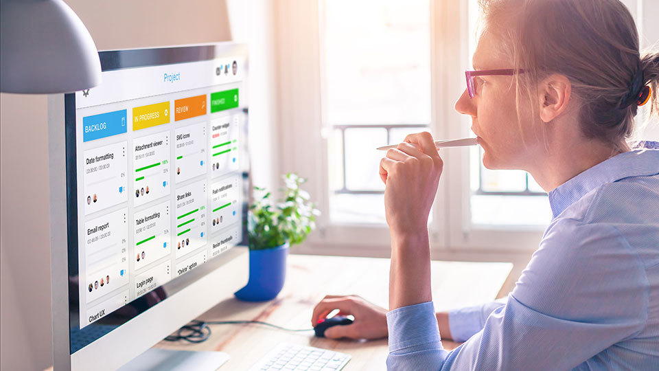 SPM security project management virtual course