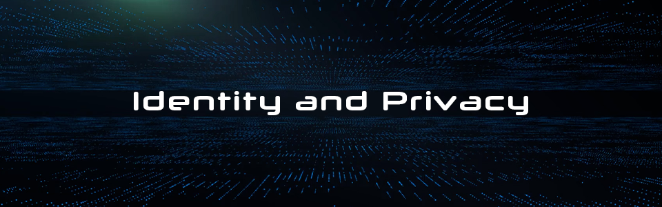 Security 2040: Identity and Privacy