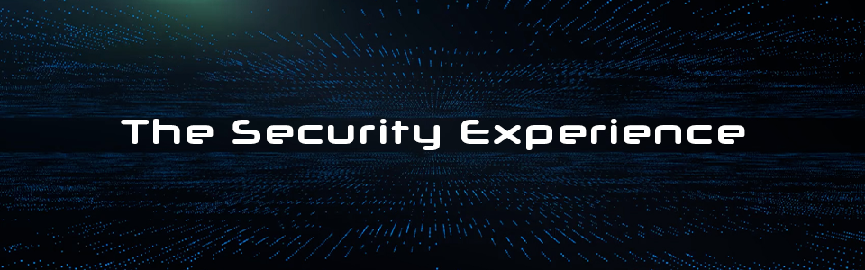 The Security Experience The Security Experience