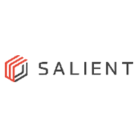 salient systems